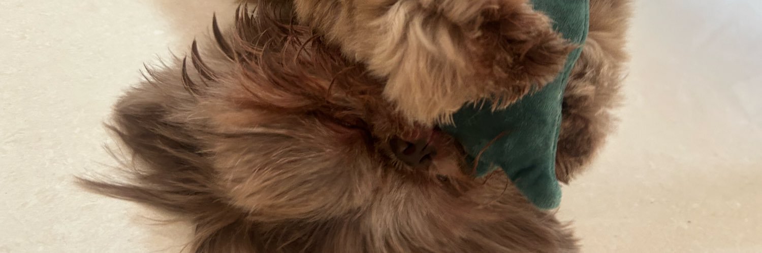 fogarela's profile banner image