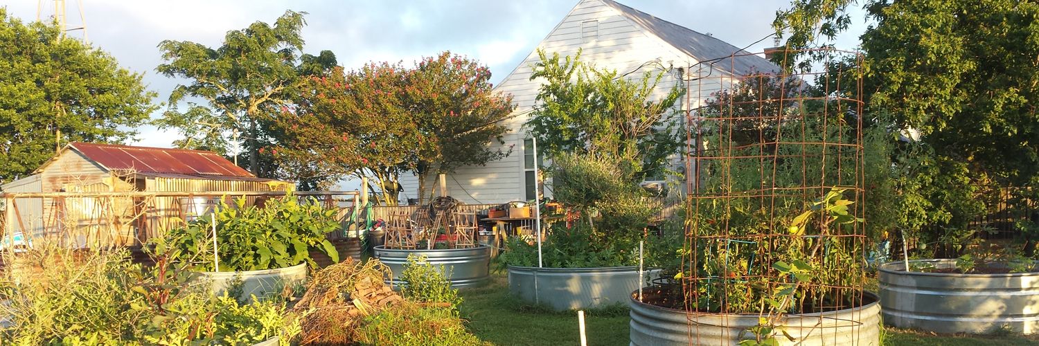 Cicero's Library banner