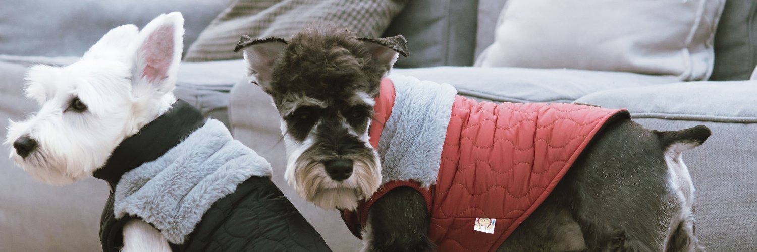 Pet_Life's profile banner image