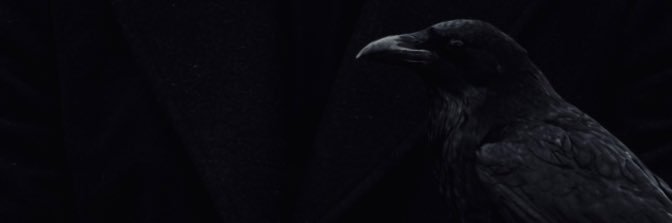 arasbykl's profile banner image