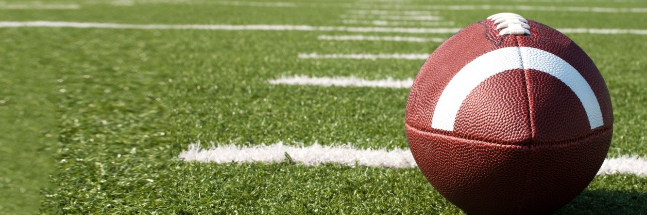 Dillard Panthers-Football banner