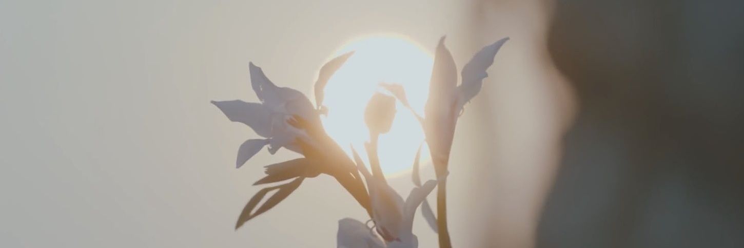 squichi_'s profile banner image