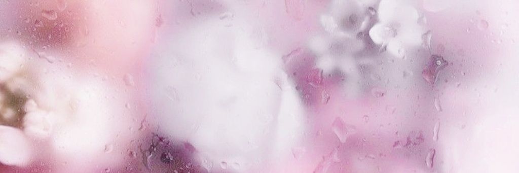 jasminenyaz's profile banner image