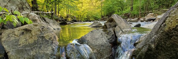 TheDukeForest Profile Banner