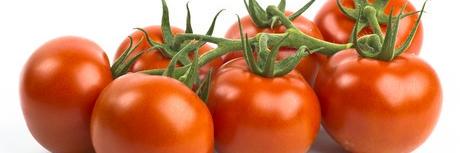 Axia Vegetable Seeds banner