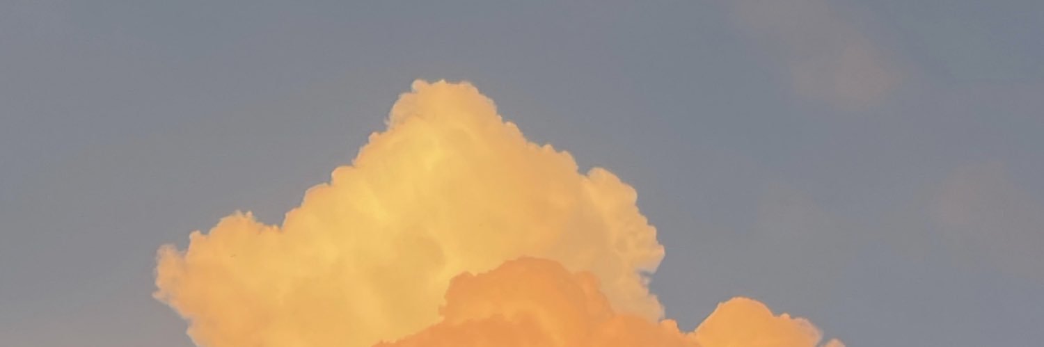 bleawaw's profile banner image
