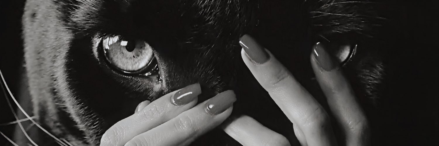 HannahKardash's profile banner image