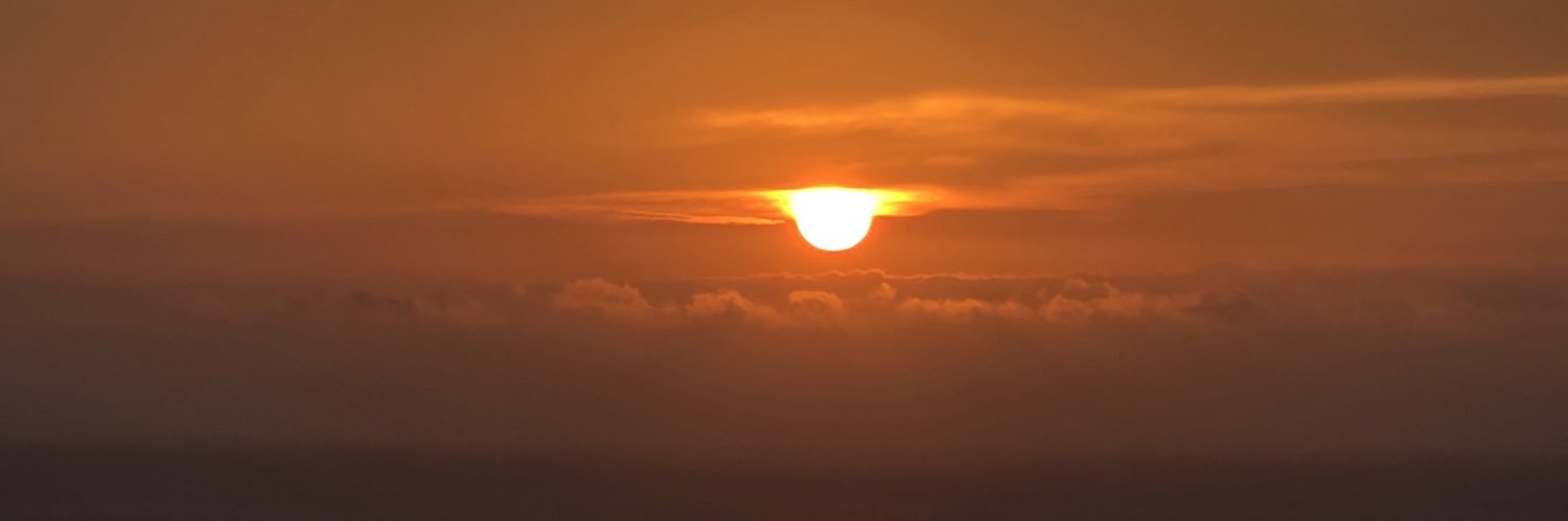 dianarussom's profile banner image