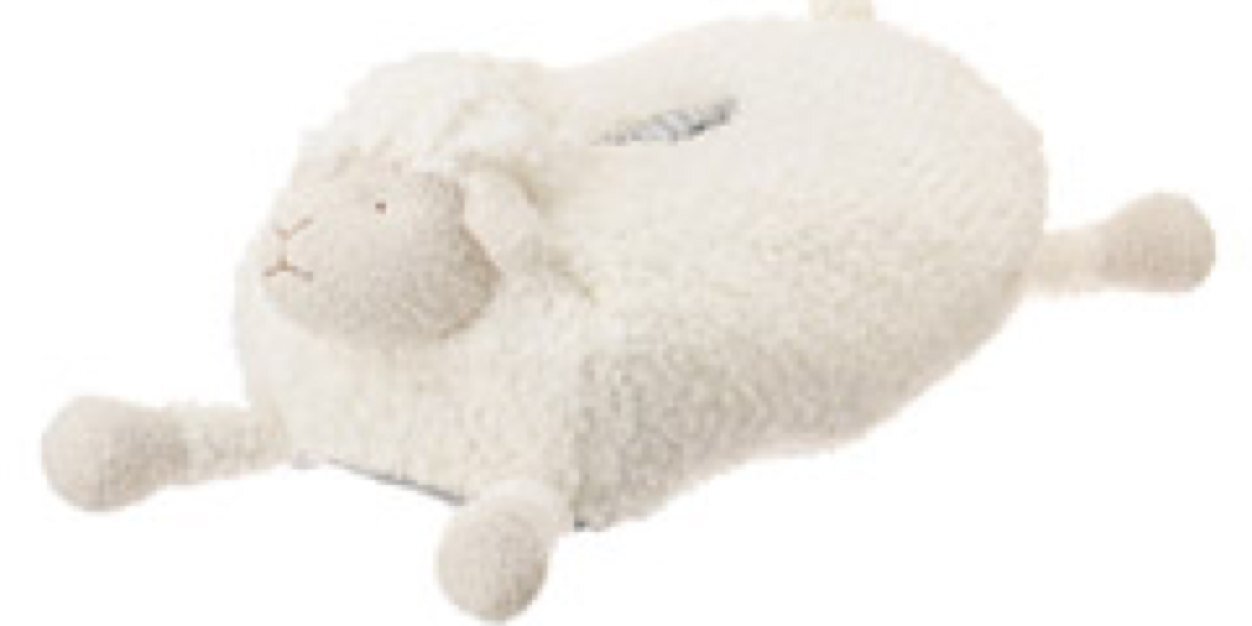 あーちゃんラングレー banner