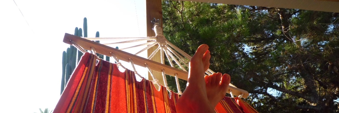 pigeondelche's profile banner image