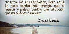 marion_gonzalez's profile banner image