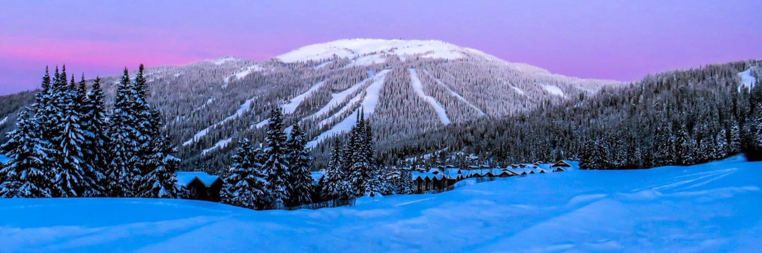 TigsMom 🇨🇦🐈🏈 banner