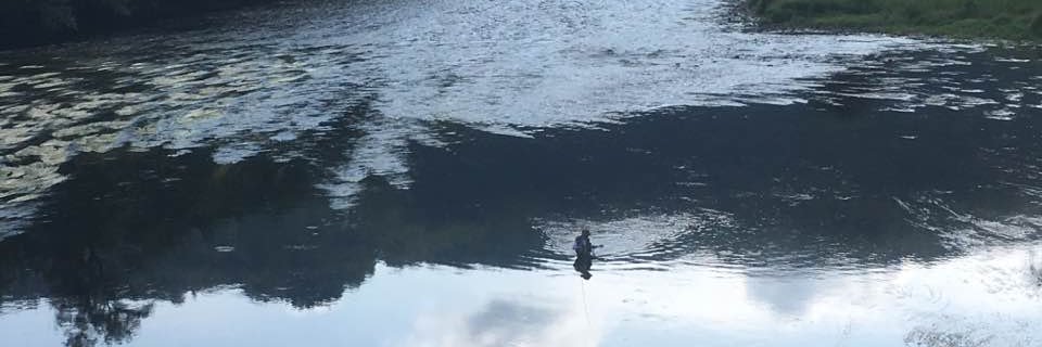 Patrick Mistretta banner