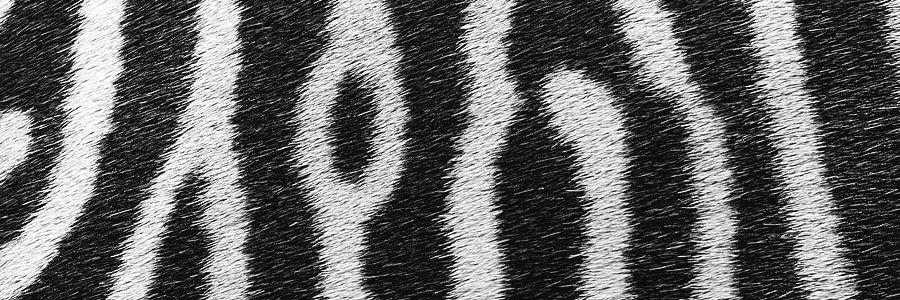 REXX banner