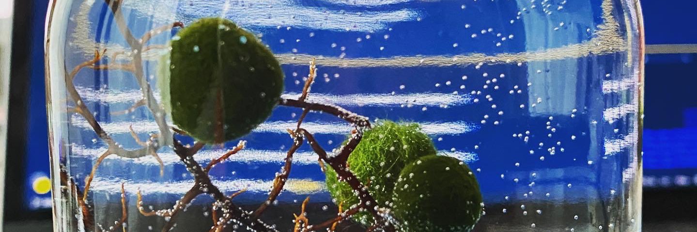 frontdesignsaki's profile banner image