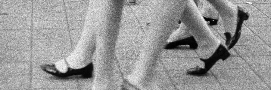 sampfisterer's profile banner image