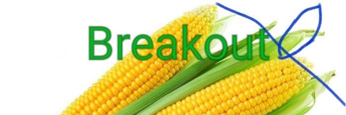 ☼ coinbition 🐸 banner
