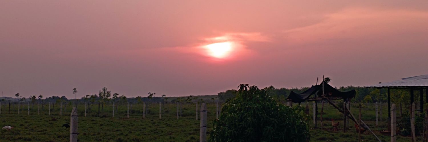 ManyueruP's profile banner image