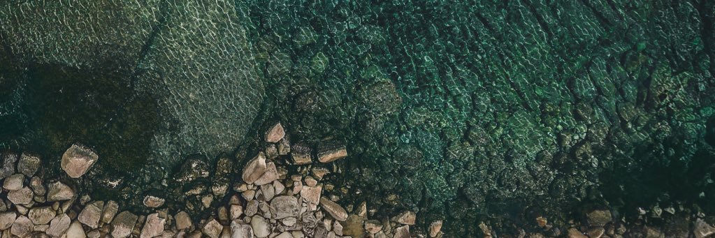 pause® banner