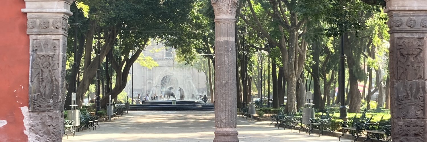 Alejandro Navarrete T banner