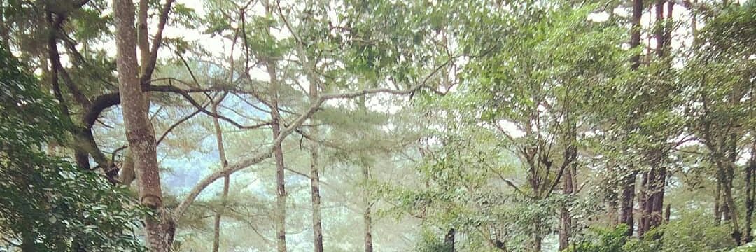 mhycute75's profile banner image