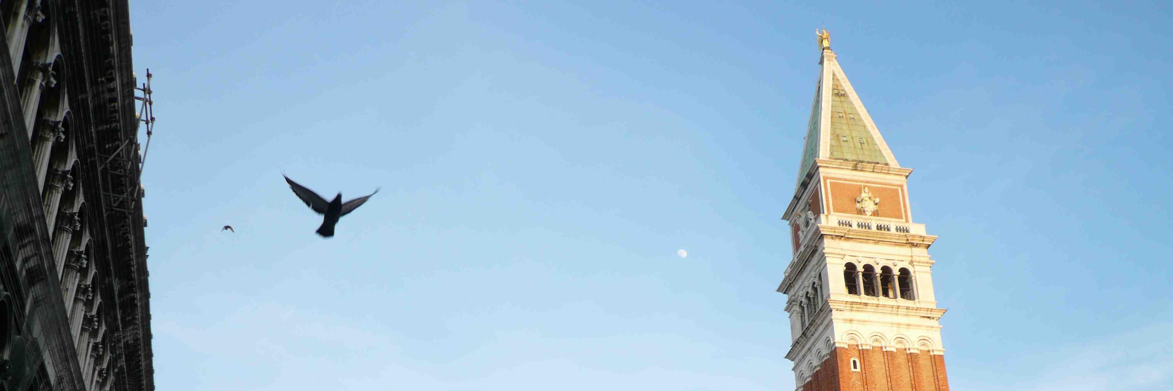 c7806's profile banner image