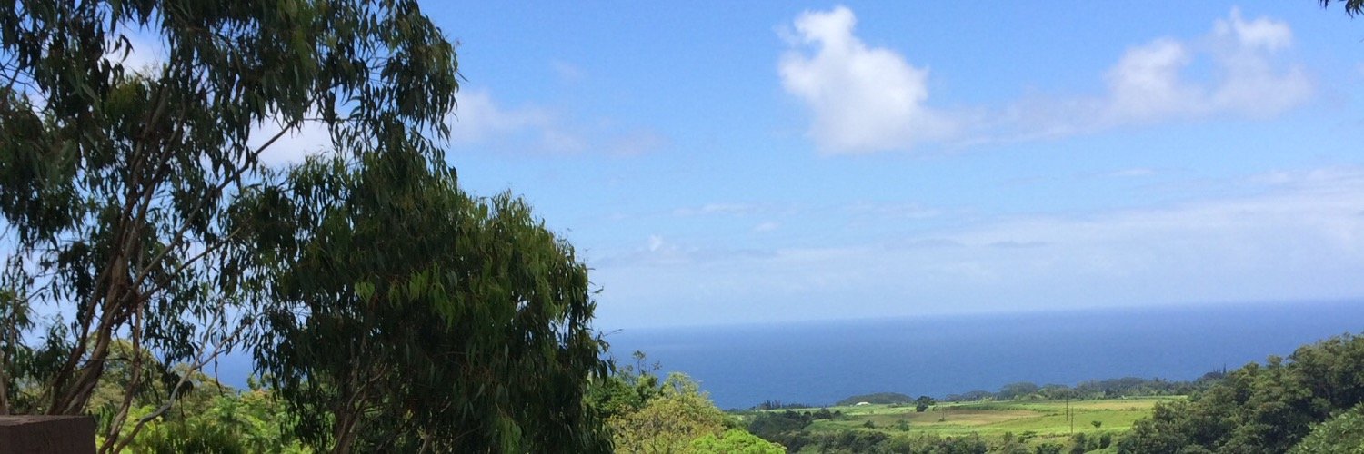 ShellyMartin8's profile banner image