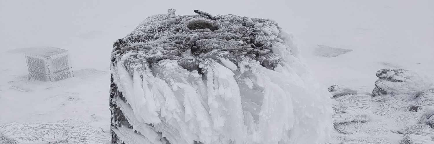 RodneyBale's profile banner image