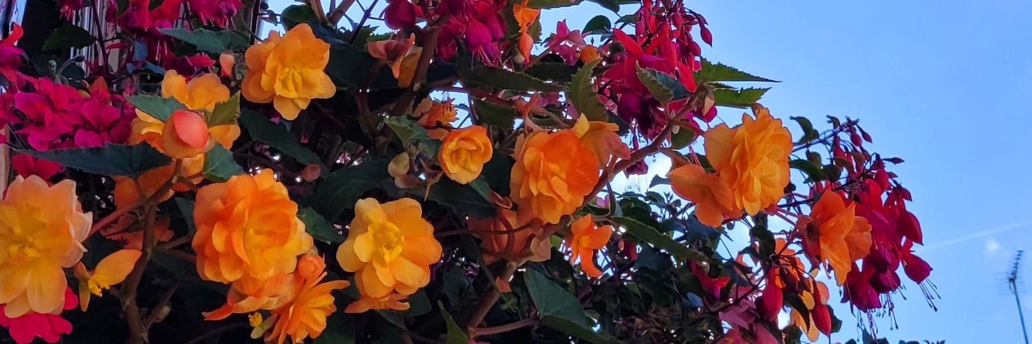DreamOfApril_'s profile banner image