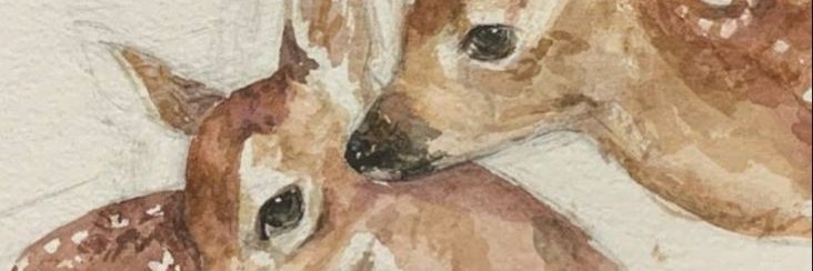 svthua's profile banner image