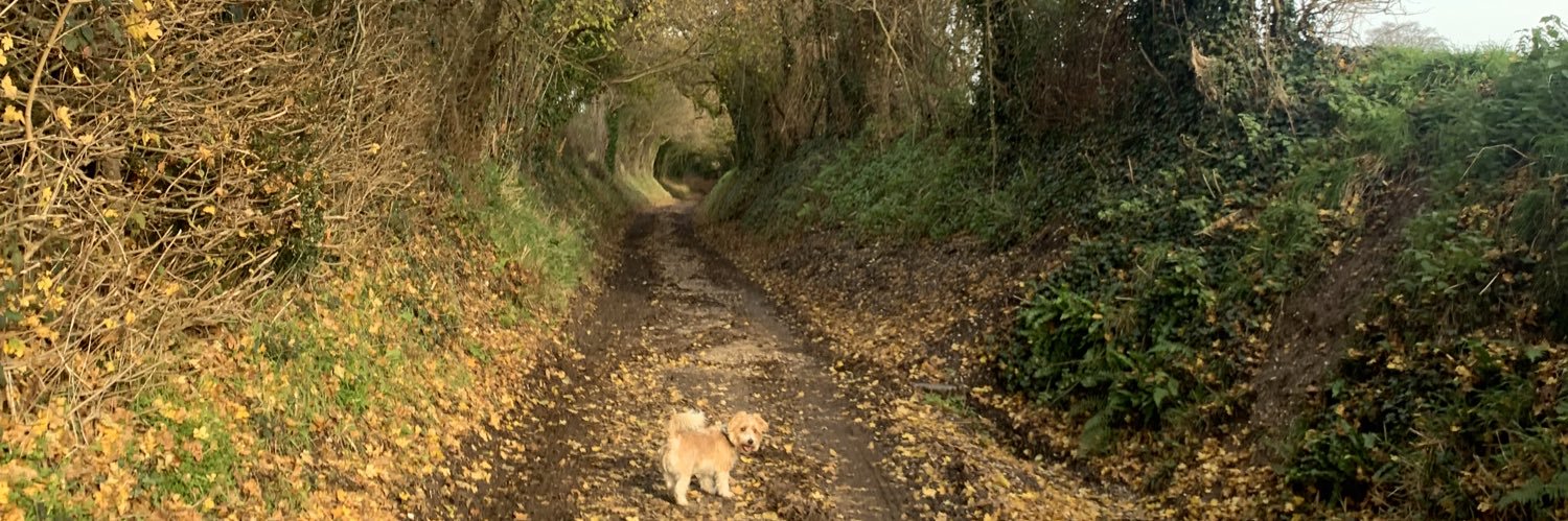 Julie Jacqueline is revising ✨ banner