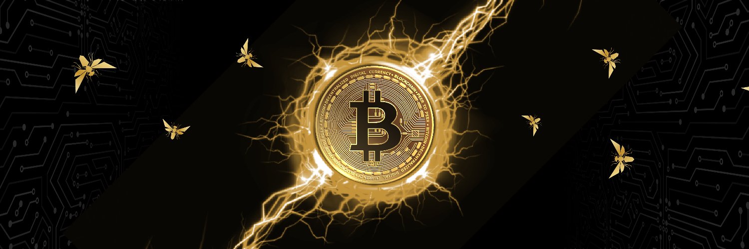 Disciple of Satoshi banner