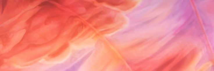 biancaffernanda's profile banner image