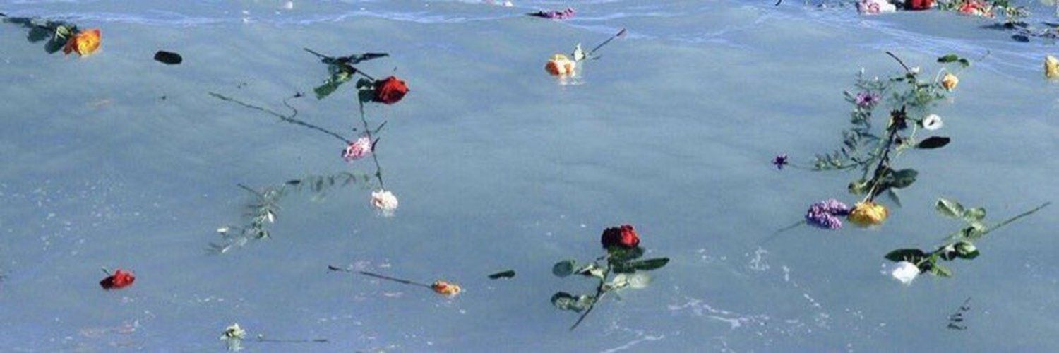 Akila akila (💙,🧡) 🛸❤️ Memecoin banner