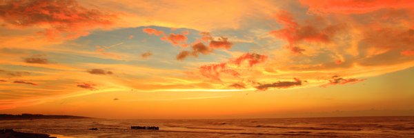 lit_html Profile Banner