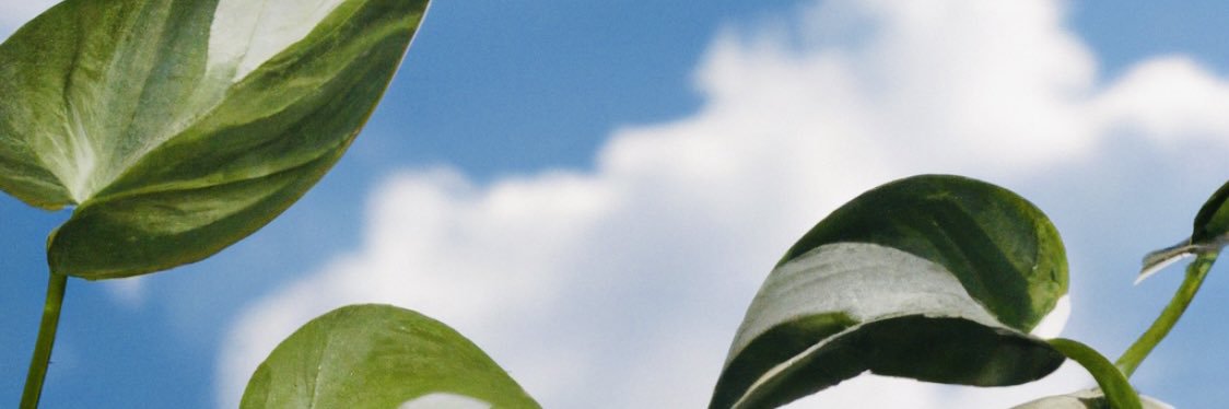 allie_klu's profile banner image