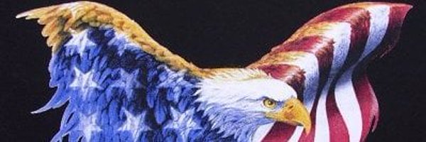 trsmiami Profile Banner