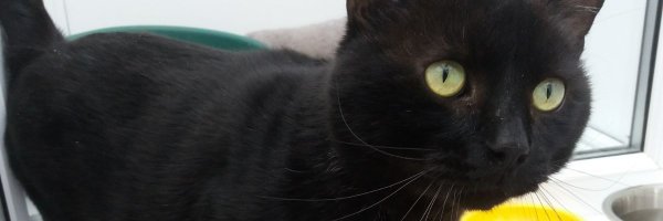 CPNorthHerts Profile Banner