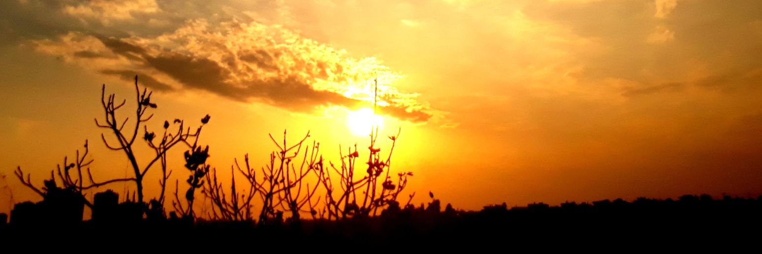 umutyrkglu's profile banner image