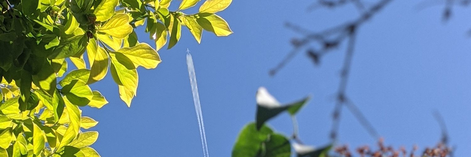 Rina Shaikh-Lesko banner