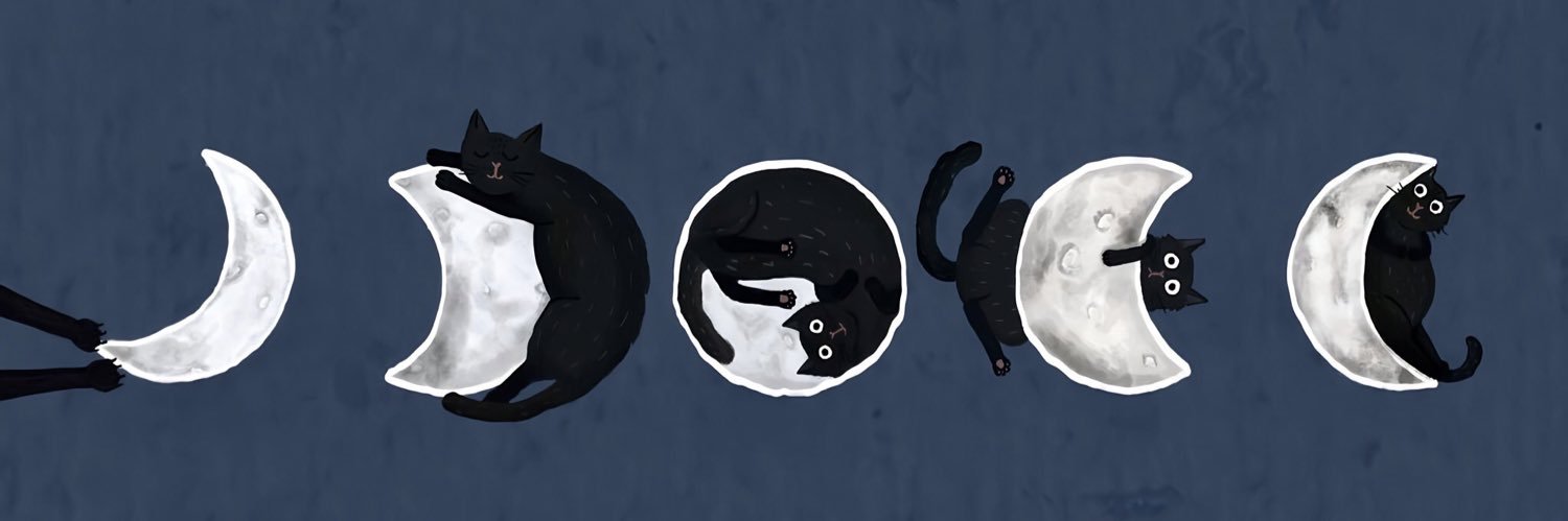 Nef banner