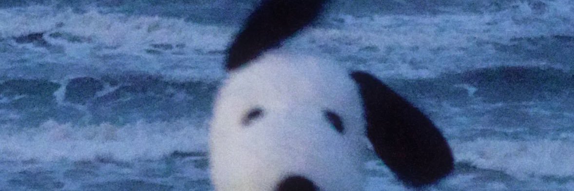 rbkwut's profile banner image