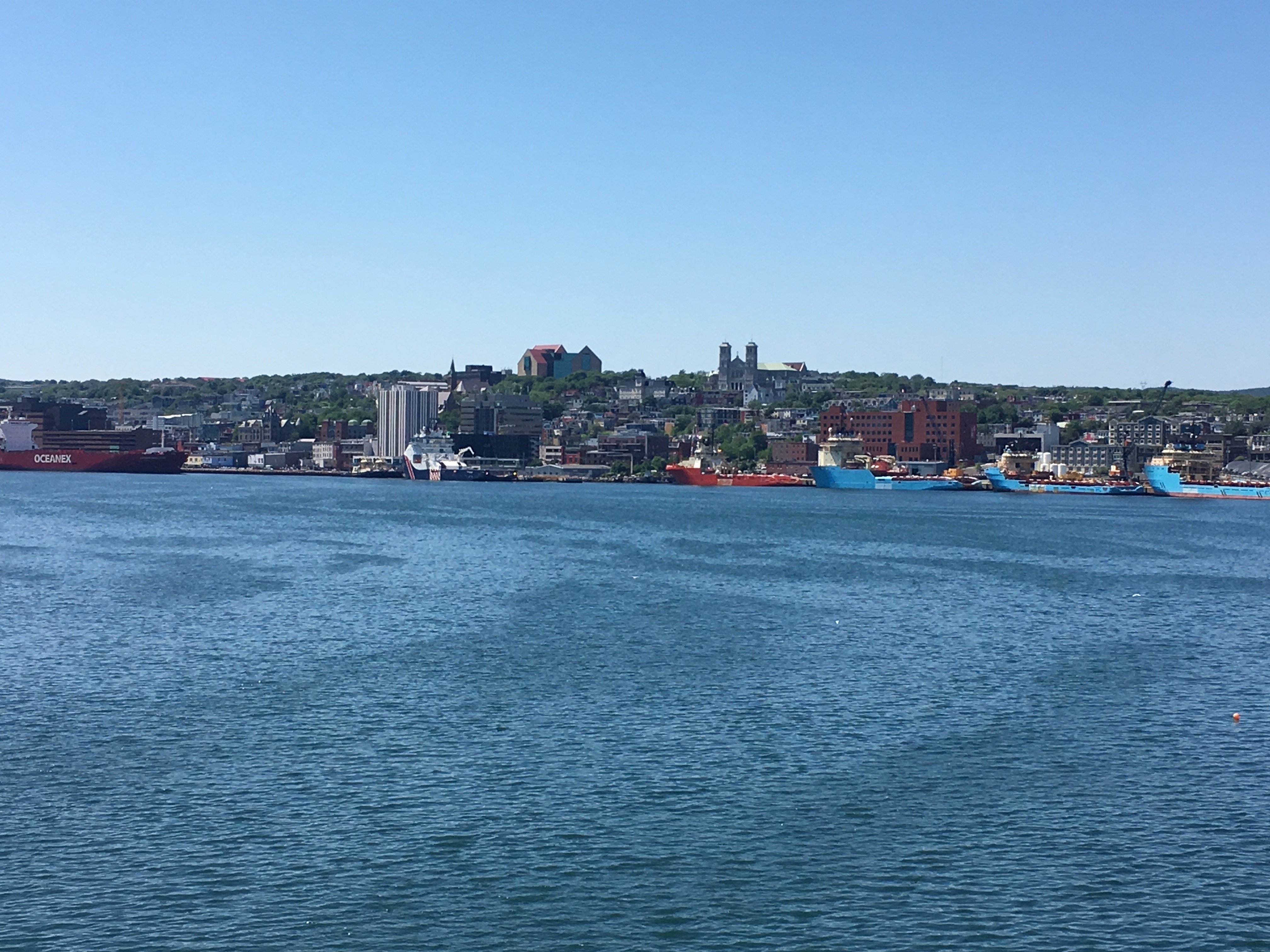 June Abbott (she/her) banner