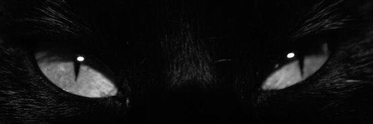 ♡⁷ vic || 📖 banner
