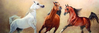 abdulhadialqa19's profile banner image