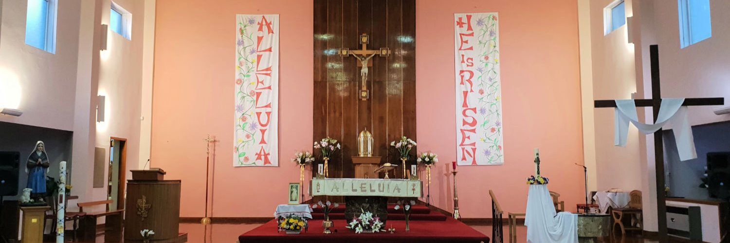 stbernadettesnm's profile banner image