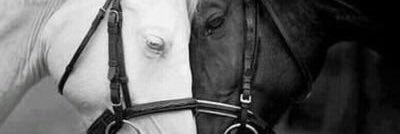 Ali_AlBalushi9's profile banner image