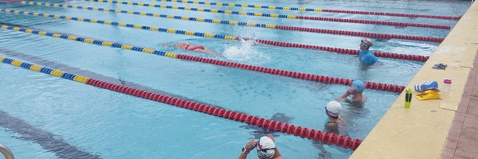 Carmen Echeverria banner