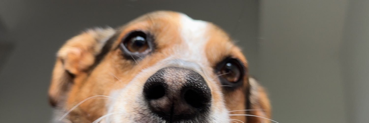 ColintheMan205's profile banner image