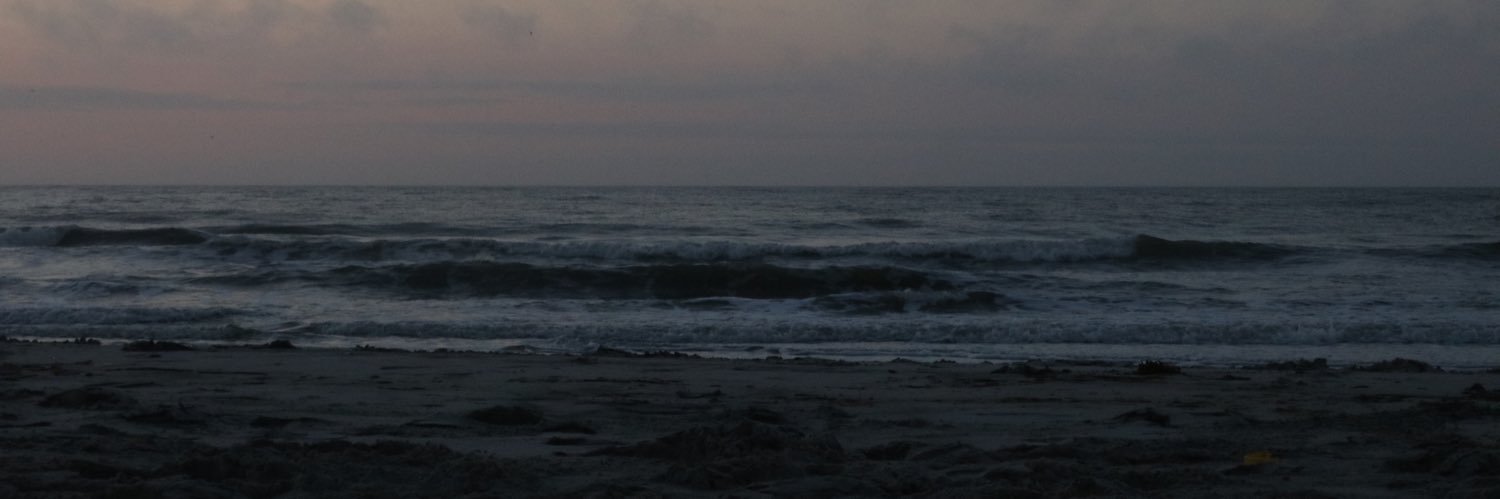 maxpilled_'s profile banner image